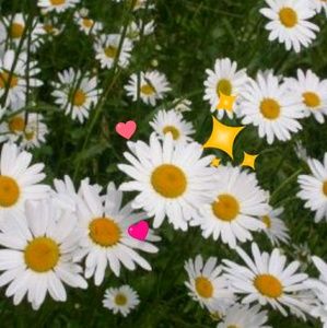 Meet your Posher, Tonjia